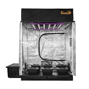 GROW BOX ALLESTITA 60X60X160 CFL 250W - Kingston Grow Shop