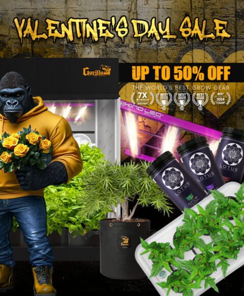 Gorilla Grow Tent Sale