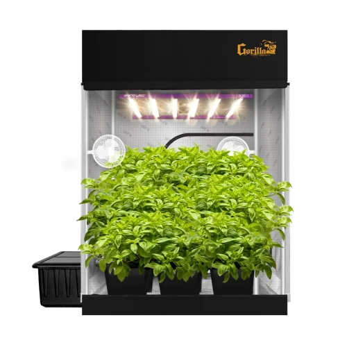 01-5x5-SR-750-BFB-Plants